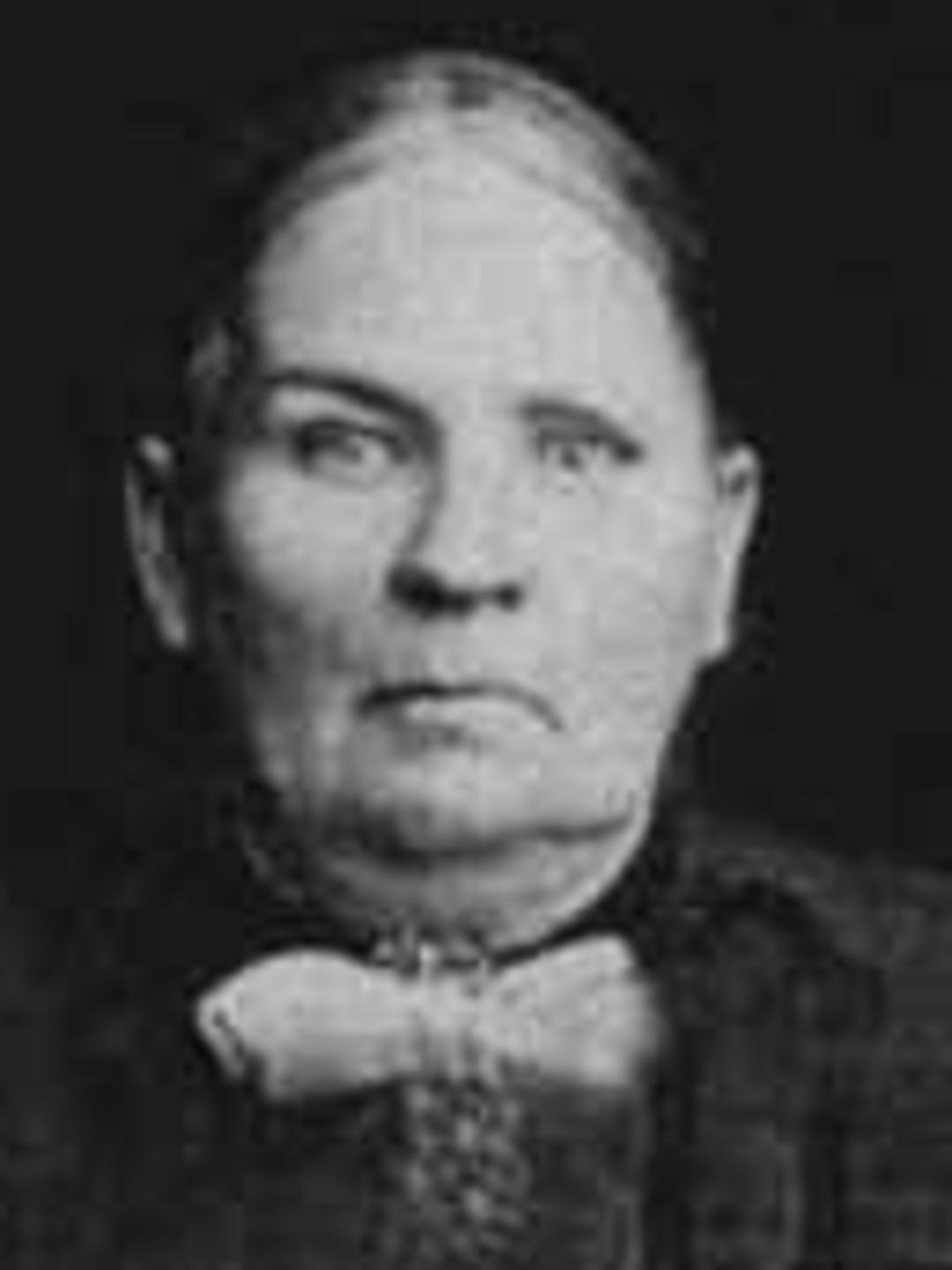 Elizabeth Melissa Perry (1836 - 1908) Profile